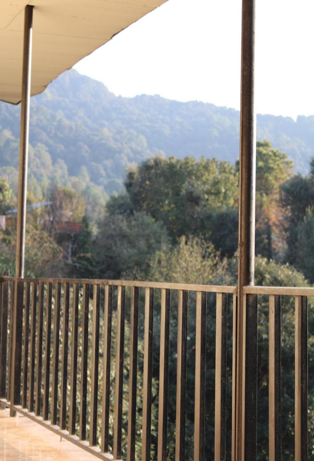 Oak Wood Homestay Banikhet ダルハウジ エクステリア 写真
